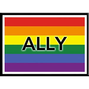 Ally Flag Black & White Outline LGBTQ+ Magnet - 2.5x3.5 Inch - Magnet for Refrigerators and Lockers - Gay Pride Rainbow(Fridge Magnet)