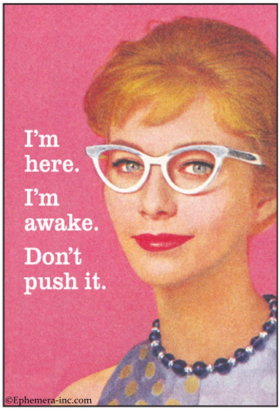 I'm Here. I'm Awake. Don't Push It. Funny RECTANGLE MAGNET Craft Supply
