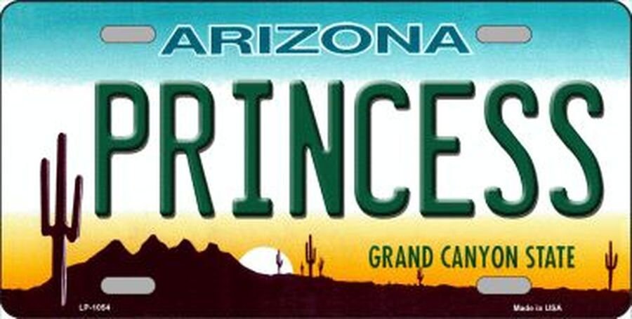 ARIZONA PRINCESS State Background Metal License Plate Craft Supply