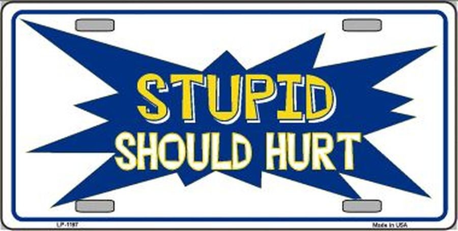 STUPID SHOULD HURT Metal License Plate Craft Supply