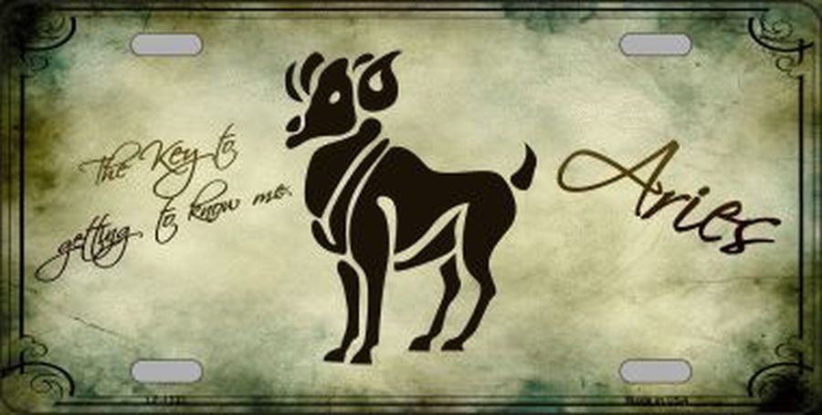 ARIES ZODIAC Metal License Plate Craft Supply