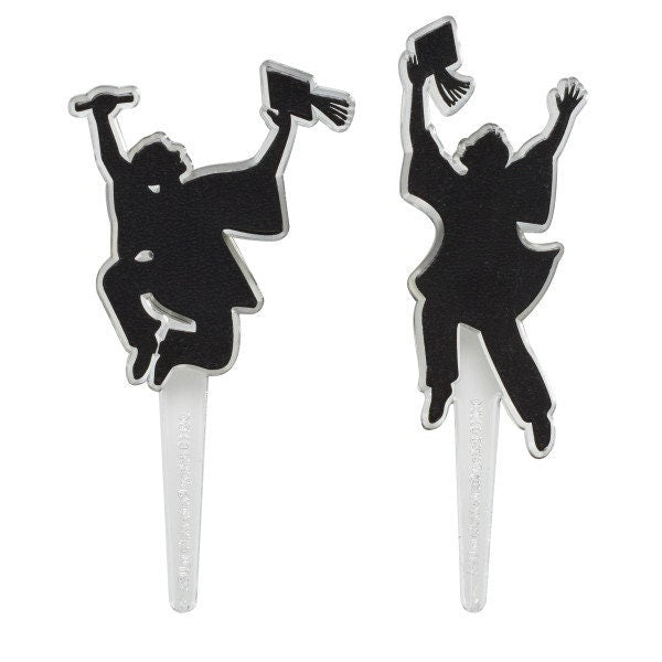 ACHIEVE YOUR DREAMS Cupcake Picks (12) Graduation Graduate Party Decoration Rings Craft Supply