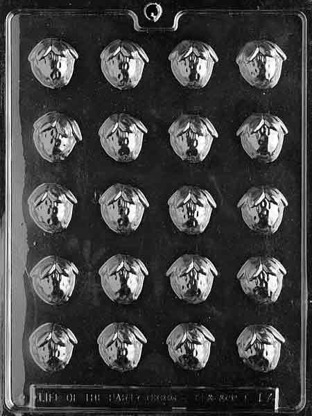 BITE SIZE STRAWBERRY Chocolate Candy Mold Craft Supply