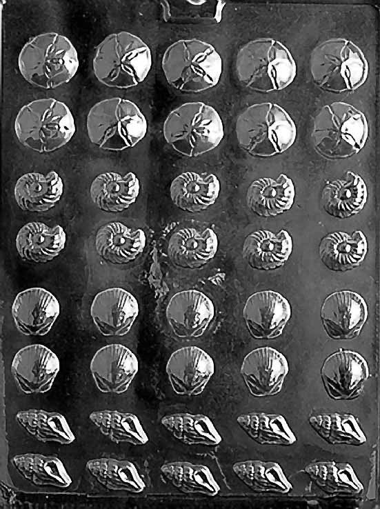 TINY SHELL ASSORTMENT Chocolate Candy Mold Craft Supply
