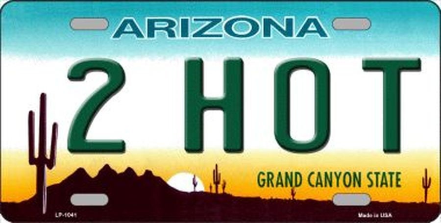 ARIZONA 2 HOT State Background Metal License Plate Craft Supply