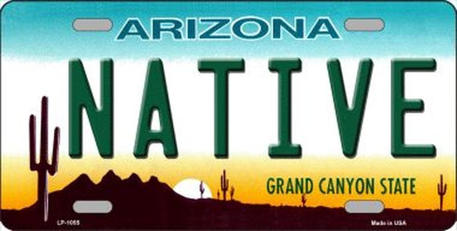 ARIZONA NATIVE State Background Metal License Plate Craft Supply