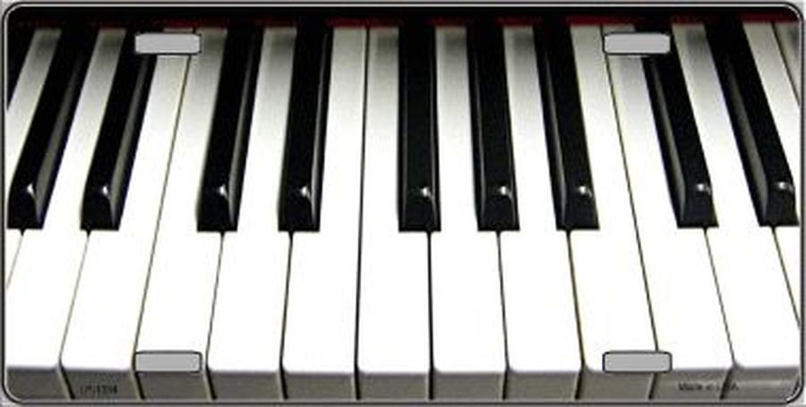 PIANO KEYBOARD KEYS Metal License Plate Craft Supply