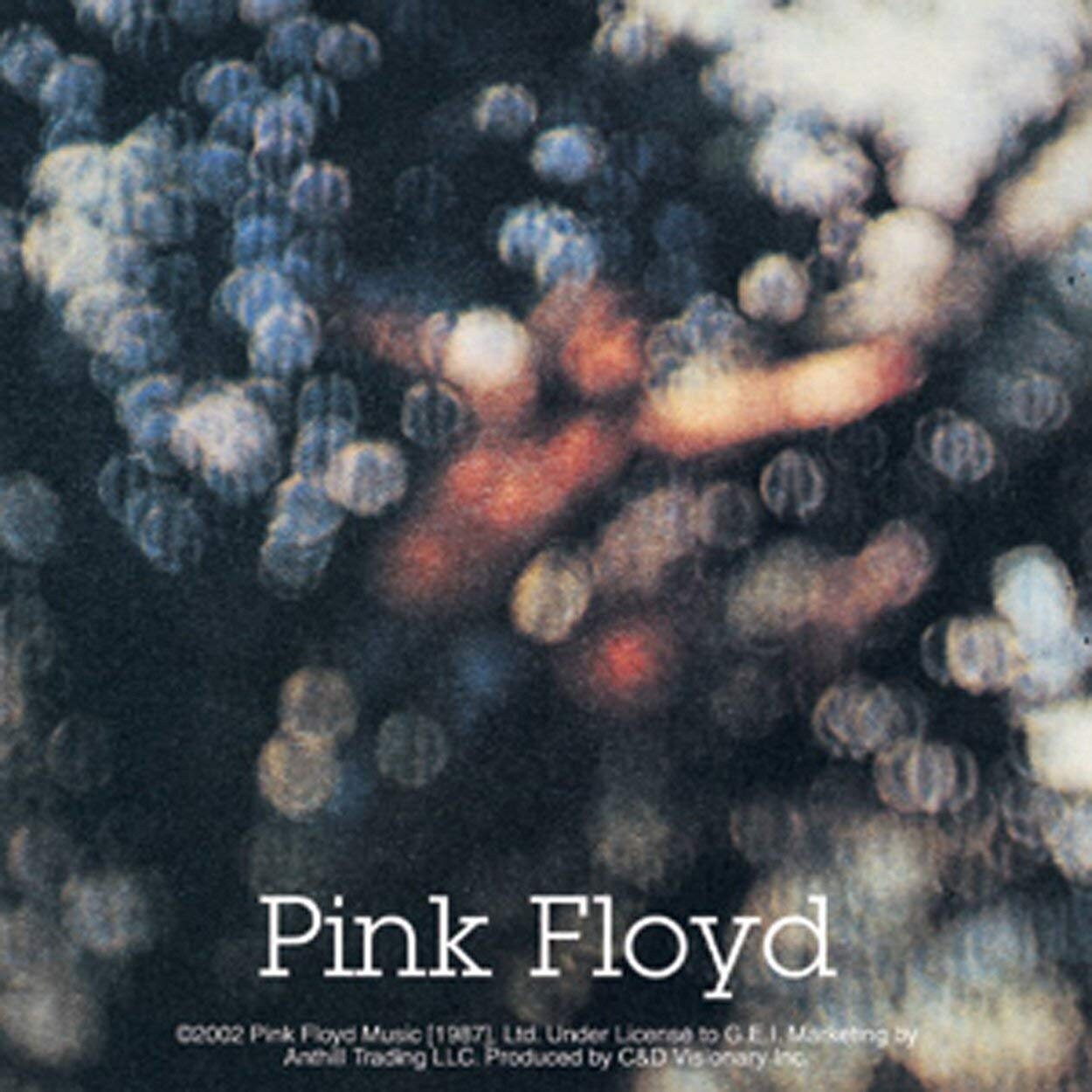 PINK FLOYD Obscured Observed Sticker Decal - Rock Band Craft Supply