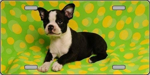 BOSTON TERRIER Metal License Plate dog lovers Craft Supply