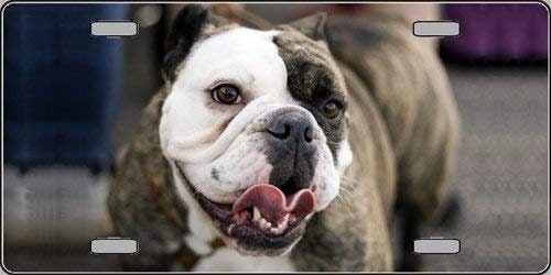 BULLDOG Metal License Plate dog lovers