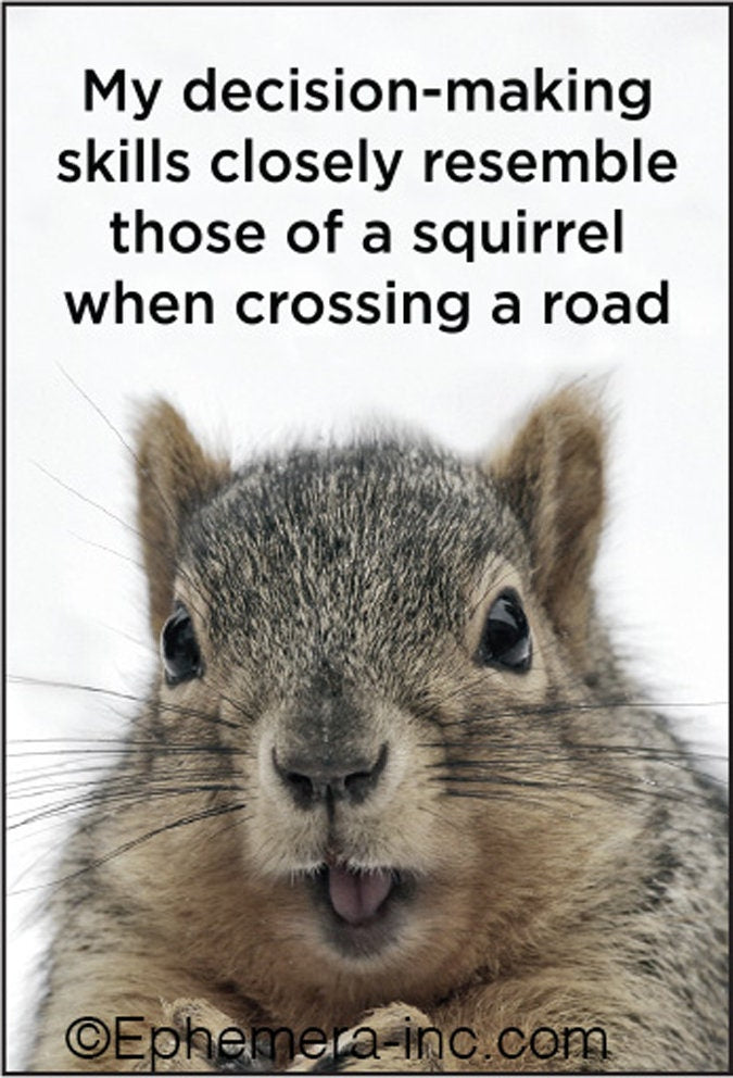 My decision-making skills closely resemble those of a squirrel when crossing a road Funny RECTANGLE MAGNET