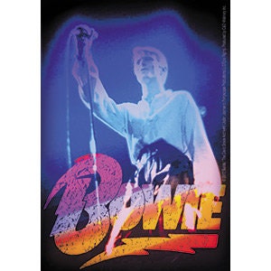 DAVID BOWIE Live Sticker Decal - Rock Band Craft Supply