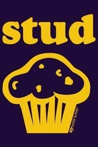 SASSY SLANG Stud Muffin Magnet for Refrigerators and Lockers Funny Craft Supply