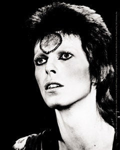 DAVID BOWIE Black & White Sticker Decal - Rock Band Craft Supply