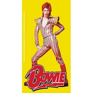 DAVID BOWIE Pose Sticker Decal - Rock Band Craft Supply