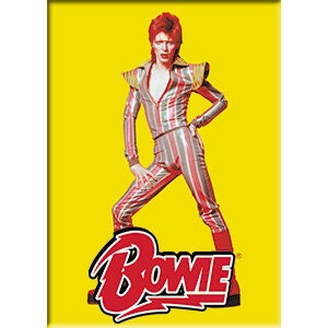 DAVID BOWIE Pose Magnet for Refrigerators and Lockers - Rock Band Craft Supply