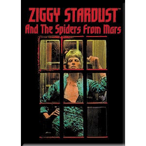 DAVID BOWIE Ziggy Window Magnet for Refrigerators and Lockers - Rock Band Craft Supply