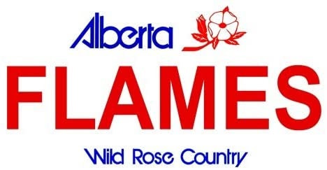 FLAMES Alberta Canada Background Metal License Plate Sign Novelty Vanity Craft Supply