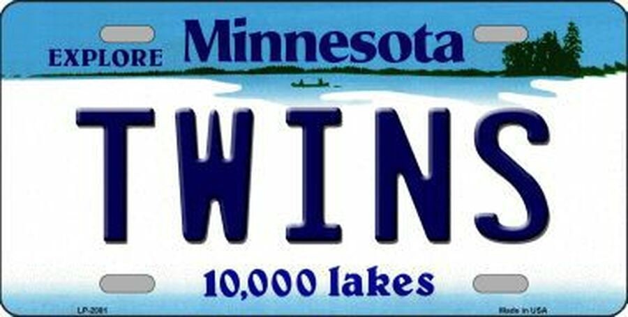 TWINS Minnesota State Background Metal License Plate Sign Novelty Vanity Baseball Craft Supply