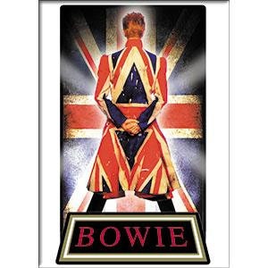DAVID BOWIE Earthling Magnet for Refrigerators and Lockers - Rock Band Craft Supply