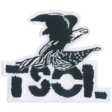 T.S.O.L. True Sounds of Liberty Patch - 4.1x3.5 Inch - Mail Logo Embroidered Rock Band Patch Applique Craft Supply