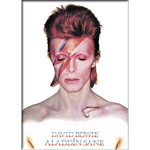 DAVID BOWIE Aladdin Magnet for Refrigerators and Lockers - Rock Band Craft Supply(Fridge Magnet)