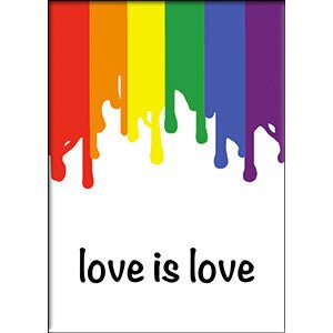 Love Is Love Rainbow LGBTQ+ Magnet - 2.5x3.5 Inch - Magnet for Refrigerators and Lockers - Gay Pride Rainbow(Fridge Magnet)