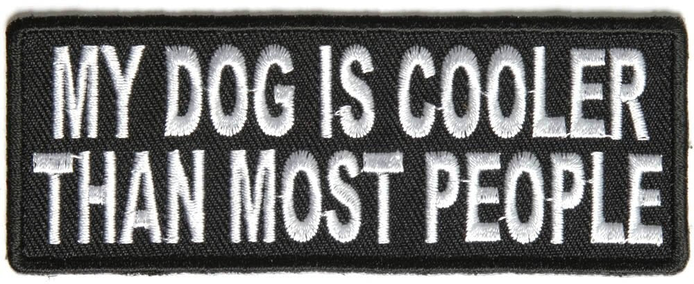 My Dog Is Cooler Than Most People Funny Biker Motorcycle Patch Craft Supply