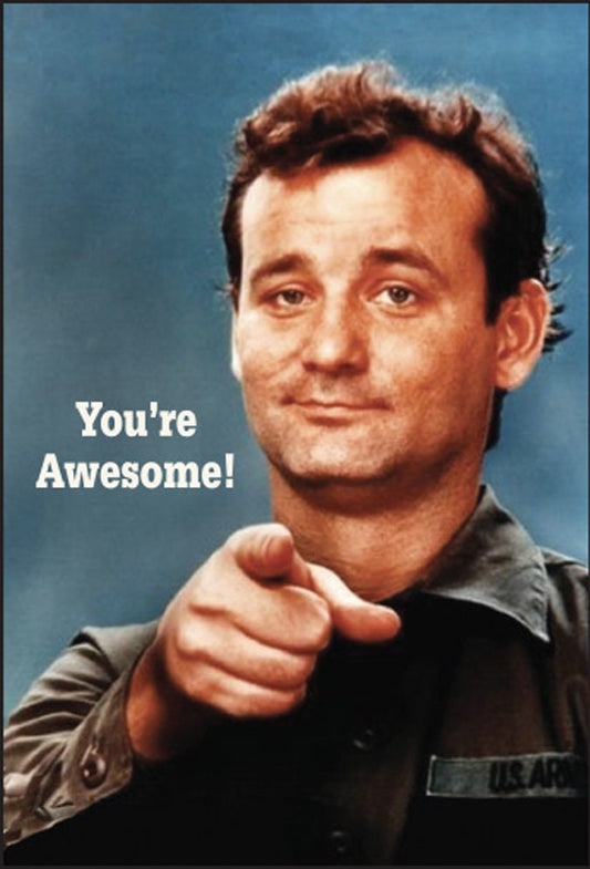 You're Awesome! Bill Murray Funny RECTANGLE MAGNET Craft Supply