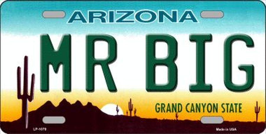 MR BIG ARIZONA State Background Metal License Plate