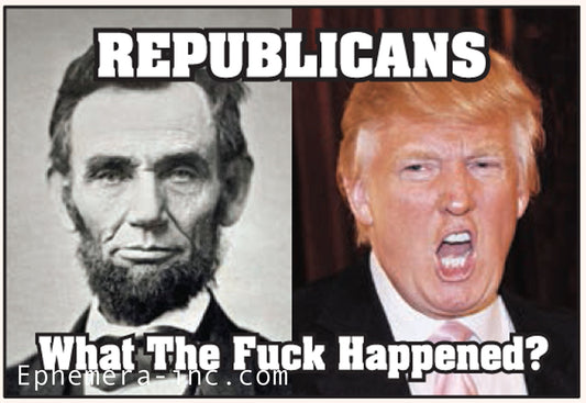 Republicans What The Fuck Happened? WTF Lincoln Trump Funny RECTANGLE MAGNET Craft Supply