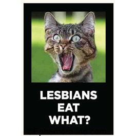 Lesbians Eat What? Funny RECTANGLE MAGNET Craft Supply