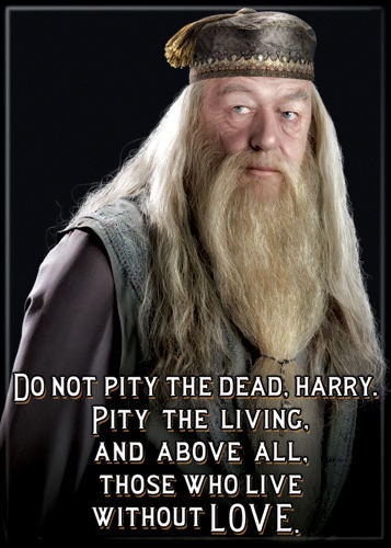 HARRY POTTER Dumbledore Without Love Magnet for Refrigerators and Lockers Movie Craft Supply