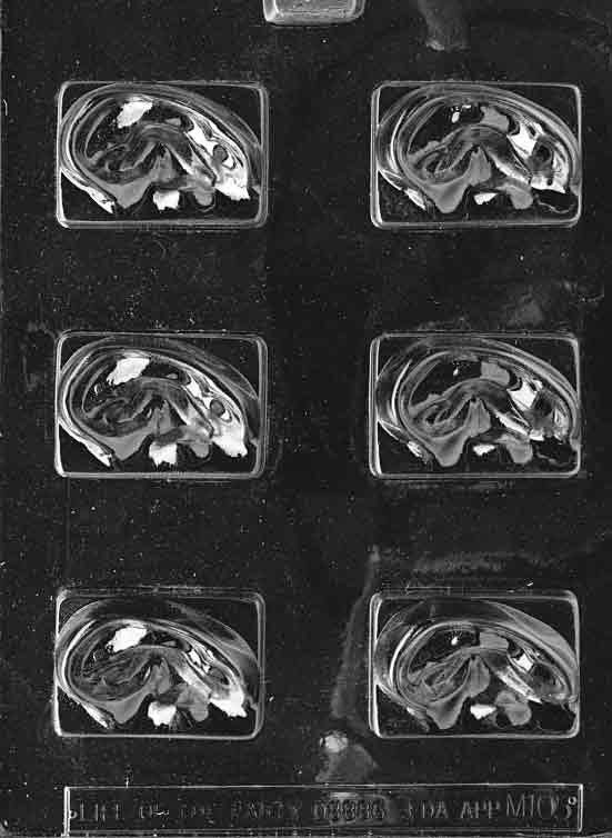 EARS Chocolate Candy Mold Craft Supply