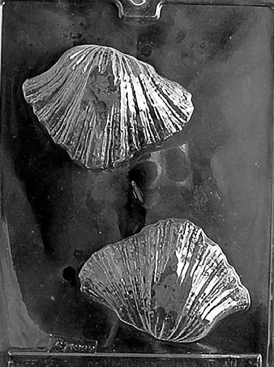 BEAR CLAW SHELL Chocolate Candy Mold Craft Supply