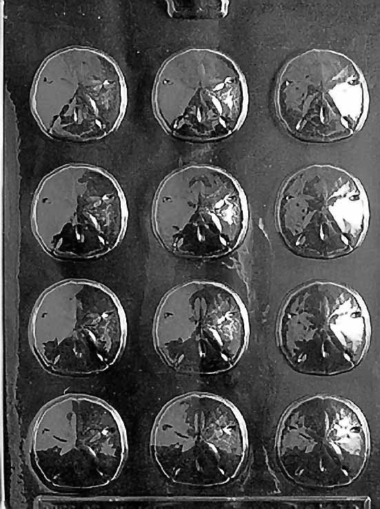 SAND DOLLAR Bite Size Chocolate Candy Mold