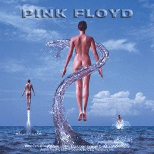 PINK FLOYD Shine On Sticker Decal - Rock Band Craft Supply