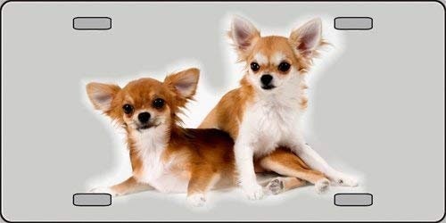 Chihuahua Dog Metal License Plate dog lovers Craft Supply