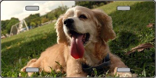 COCKER SPANIEL Dog Metal License Plate dog lovers Craft Supply