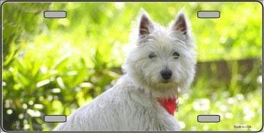 WEST HIGHLAND Dog Metal License Plate dog lovers Craft Supply