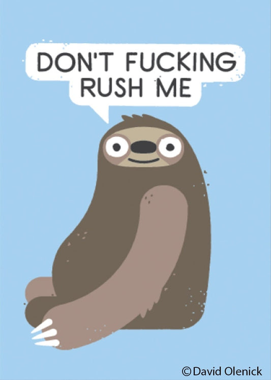 Don't fucking rush me Sloth Funny RECTANGLE MAGNET Craft Supply