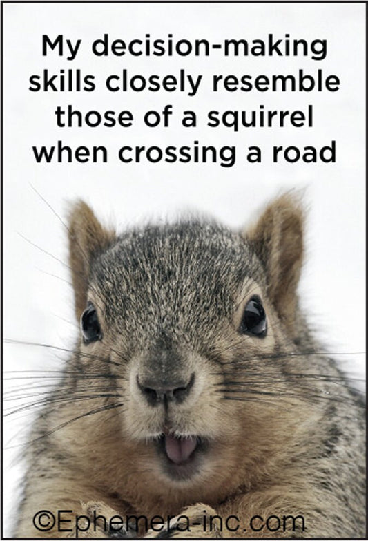 My decision-making skills closely resemble those of a squirrel when crossing a road Funny RECTANGLE MAGNET Craft Supply