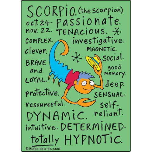 Scorpio Nice Zodiac Sign Clayboys Funny RECTANGLE MAGNET Craft Supply