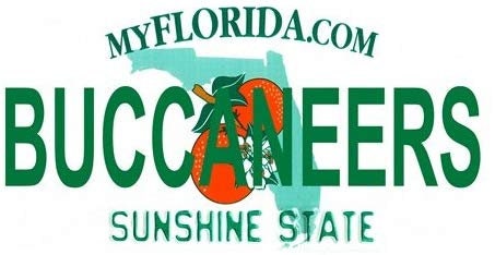 BUCCANEERS Florida State Background Metal License Plate Craft Supply