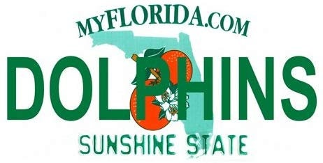 DOLPHINS Florida State Background Metal License Plate Craft Supply