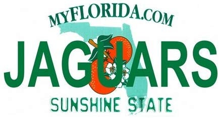JAGUARS Florida State Background Metal License Plate Craft Supply