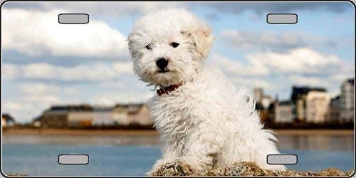 BICHON FRISE Metal License Plate dog lovers Craft Supply