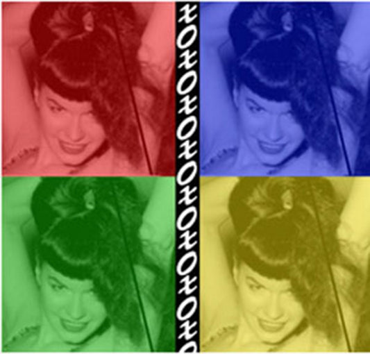 BETTIE PAGE Warhol Sticker Decal Craft Supply