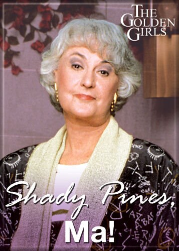 THE GOLDEN GIRLS Magnet Shady Pines for Refrigerators and Lockers Classic Tv Craft Supply