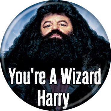 HARRY POTTER Pinback Button Badge - Hagrid Wizard - Classic Movie! - Round 1.25" Button Craft Supply